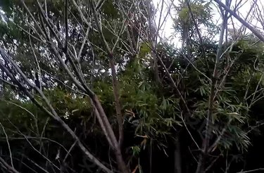 合生城邦(一街坊公寓住宅)