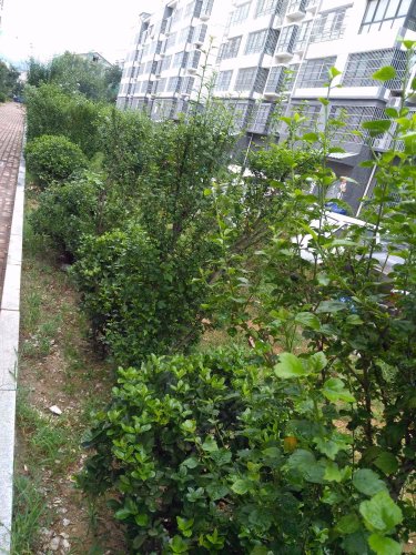 尚水花园,旗山路167号 - 招远尚水花园二手房,租房,房价-招远安居客