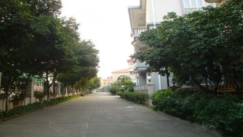 金源花园(别墅,大井头路-东莞金源花园(别墅)二手房,租房,房价-东莞