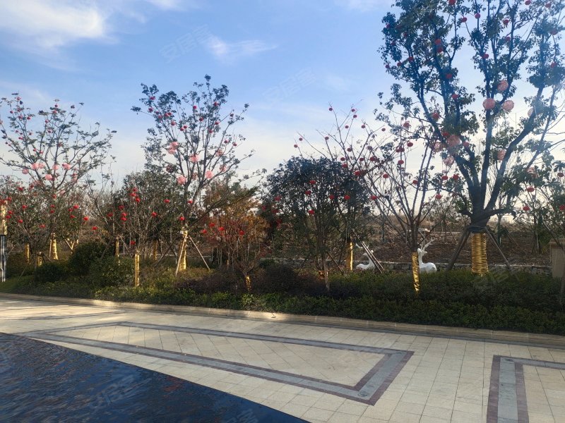 时代樾府,徽州路,近九梓大道-滁州时代樾府二手房,租房,房价-滁州安居