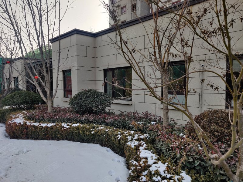 中南紫云集,烟厂东路-淄博中南紫云集二手房,租房,房价-淄博安居客