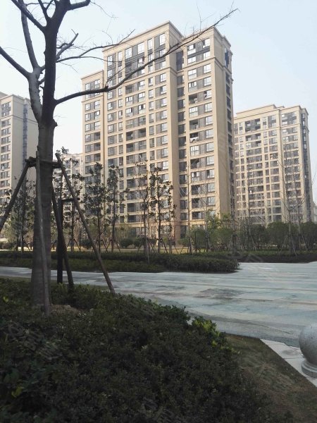 中洲华庭(公寓住宅) 