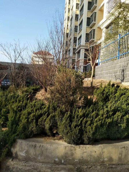 富安花园,齐鲁大道-威海富安花园二手房,租房,房价-威海安居客