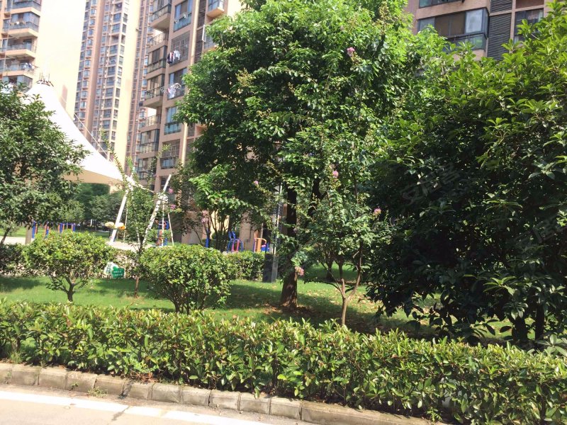 东方玉龙居,仁和路-长沙东方玉龙居二手房,租房,房价-长沙安居客