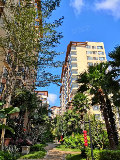 海棠福湾一号景观房 板楼 带电梯 精装可拎包入住 南北通透