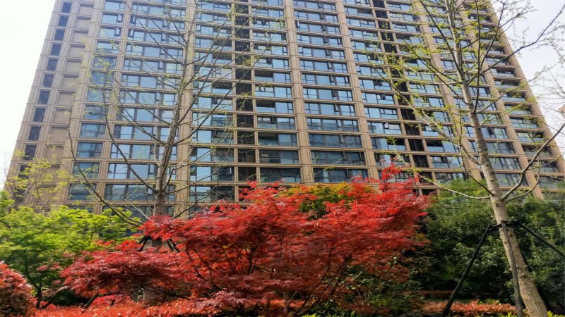 玉兰西花园(二三期),观顺道,近立信大道-无锡玉兰西花园(二三期)二手