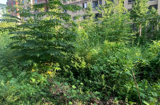 【国山墅二手房,泰安国山墅二手房出售信息】