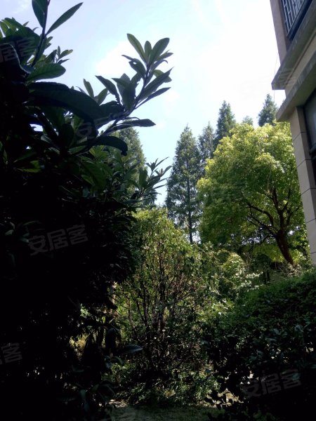 共康雅苑(一期西区) 