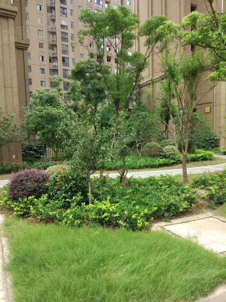 洛城悦湖园,新顺路-秦皇岛洛城悦湖园二手房,租房,房价-秦皇岛安居客