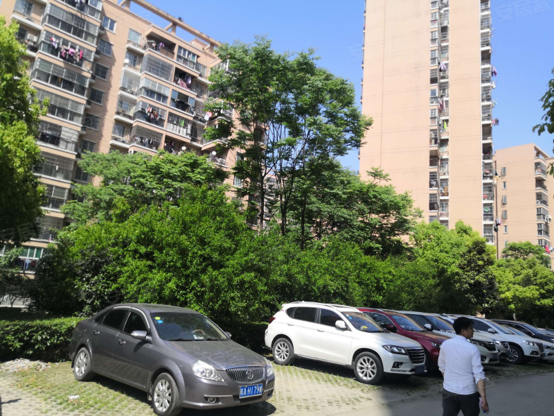 新海家园(a区),新安江路330号-合肥新海家园(a区)二手房,租房,房价