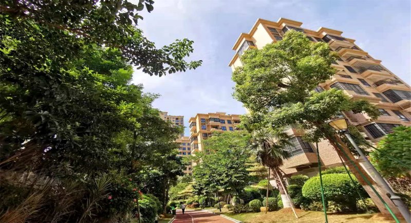 龙泉绿苑,英明路6号-厦门龙泉绿苑二手房,租房,房价-厦门安居客