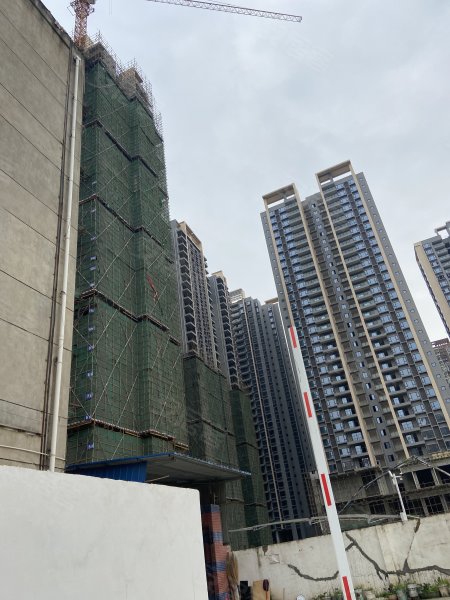 帝一广场,建材路271号,龙都北路68号-成都帝一广场二手房,租房,房价