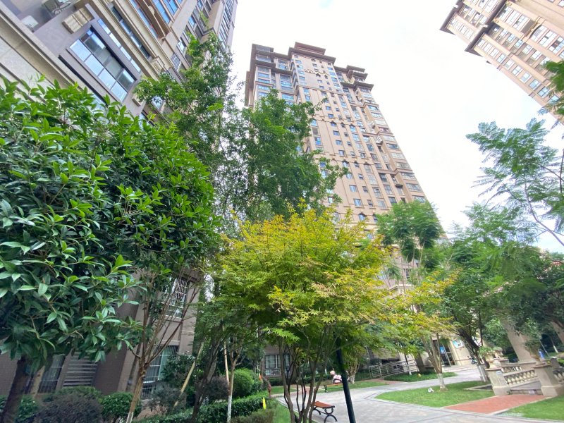 置信逸都花园a区