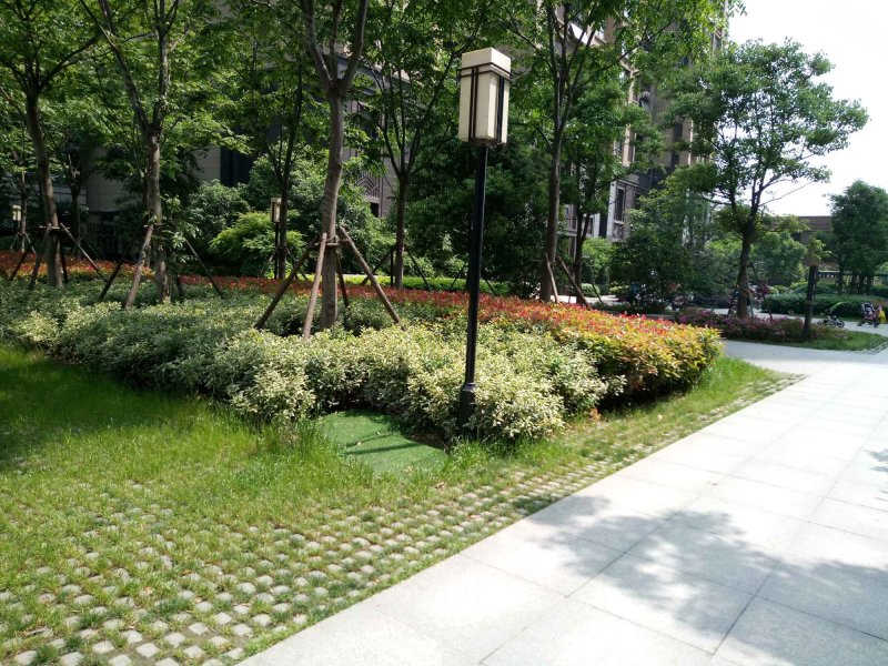 绿地铭公馆,黟县路666号-合肥绿地铭公馆二手房,租房,房价-合肥安居客