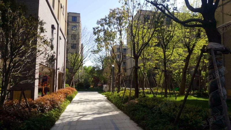 金辉优步花园,夷浜路-苏州金辉优步花园二手房,租房,房价-苏州安居客