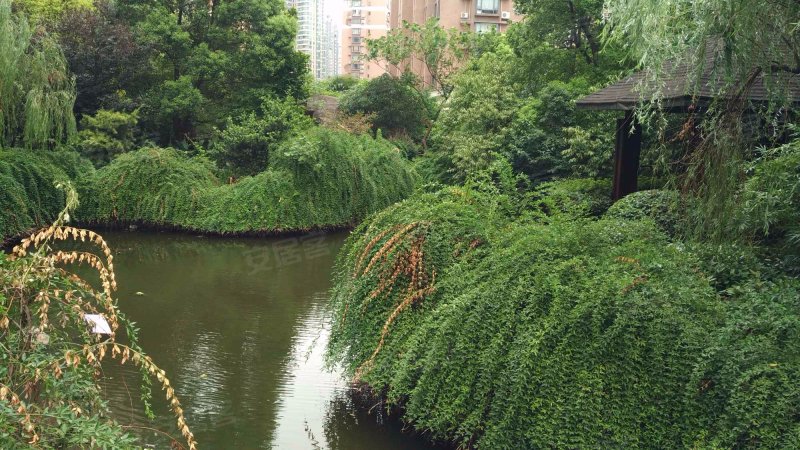 锦绣江南(滨江)