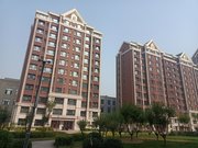 八门城镇小区图片