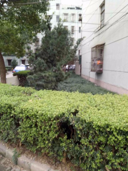 南大路96弄小区 