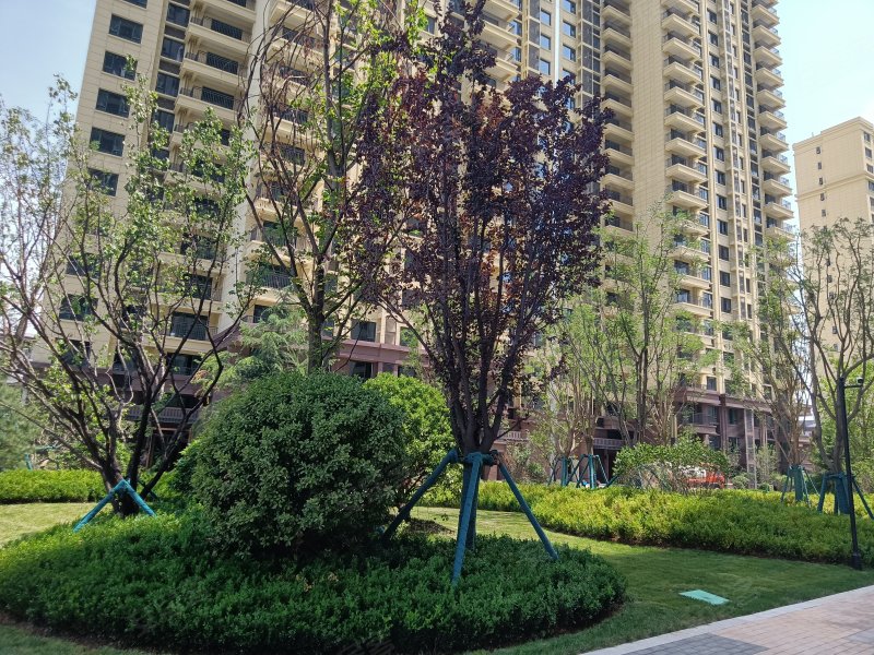 蓝光雍锦半岛,渭滨大道,近清水路-宝鸡蓝光雍锦半岛二手房,租房,房价