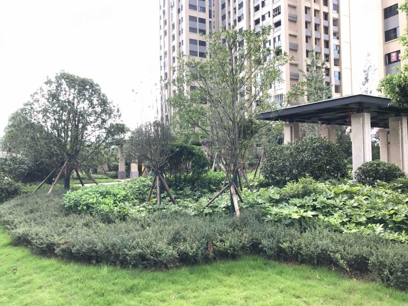 长房半岛蓝湾,湘府东路-长沙长房半岛蓝湾二手房,租房,房价-长沙安居