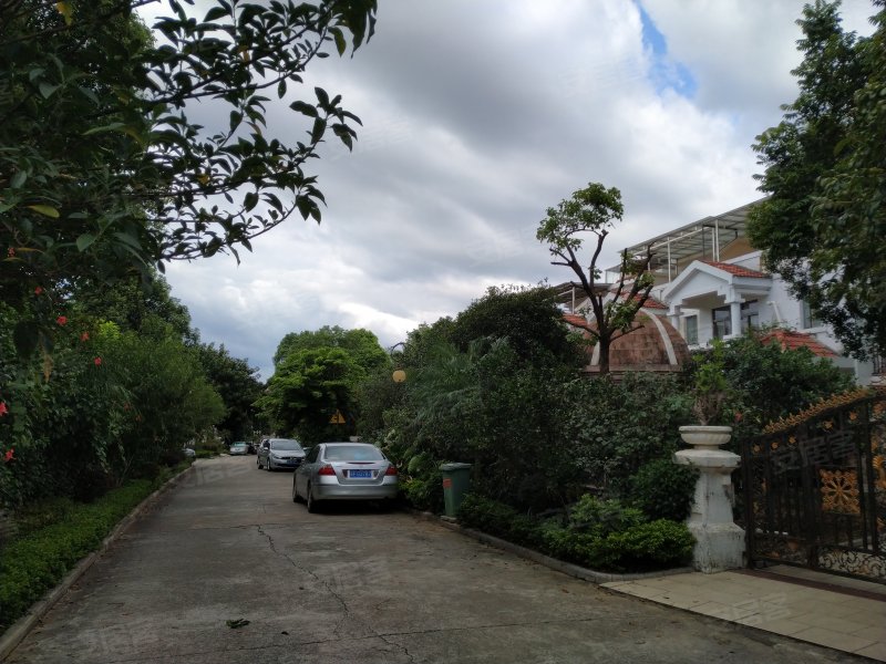 碧桂园翠堤春晓