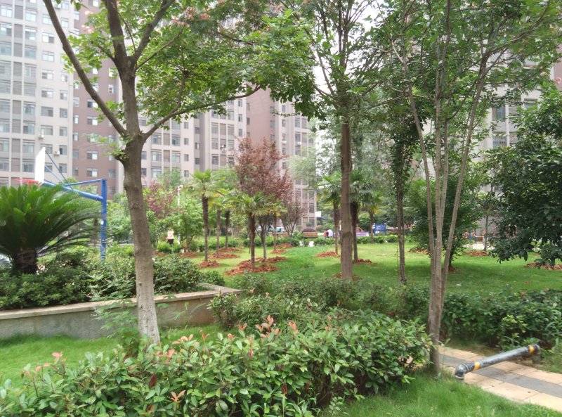 南湖新城家园,书城路-武汉南湖新城家园二手房,租房,房价-武汉安居客