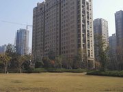 沛县 九龙城红郡 精装修 带车位 储藏室 蝴蝶户型