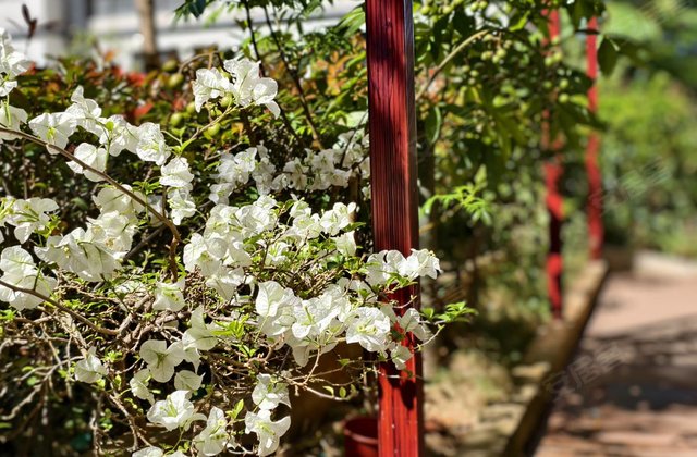 新锦江御景新城3室2厅130㎡89.8万二手房图片