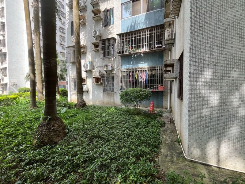 金湾花园2室1厅1卫带花园