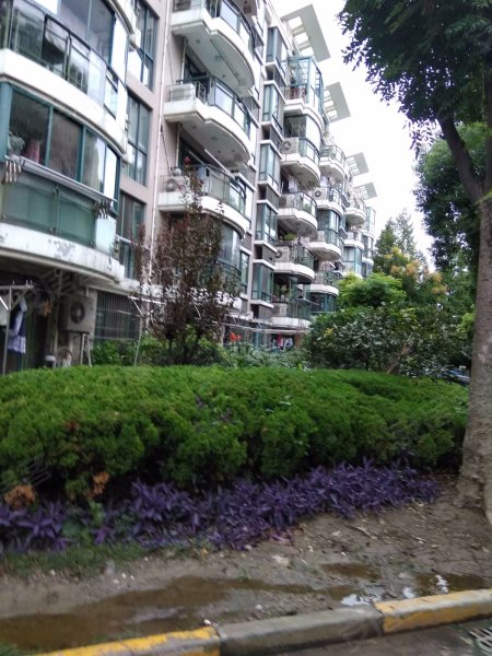 兰馨雅苑,营口路866弄-上海兰馨雅苑二手房,租房,房价-上海安居客