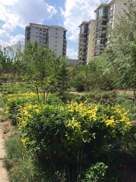 国际花园,北京东路355号-银川国际花园二手房,租房,房价-银川安居客