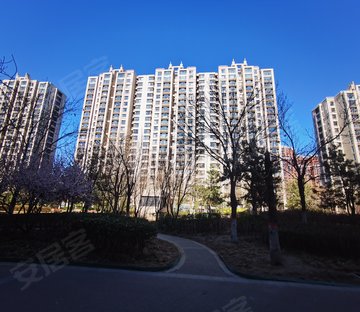 鸿坤理想城礼域府