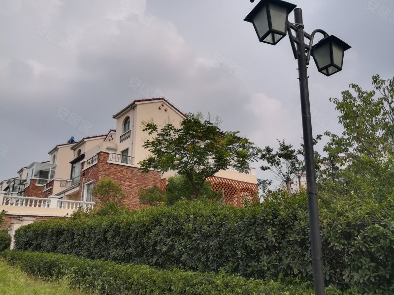 财宝山庄,铁骑山路32号-青岛财宝山庄二手房,租房,房价-青岛安居客