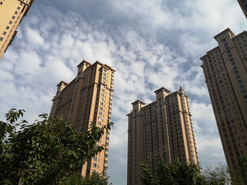 金屋秦皇半岛(八区)