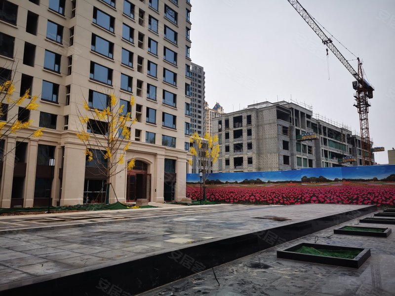 金苑御京府,育才街-衡水金苑御京府二手房,租房,房价-衡水安居客