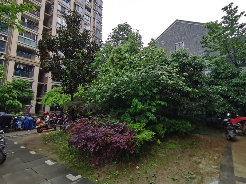 雨润香水百合(西区),皖江大道-安庆雨润香水百合(西区)二手房,租房