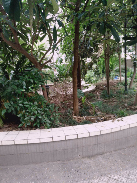 时代绿苑(一期),松石北路138号-重庆时代绿苑(一期)二手房,租房,房价