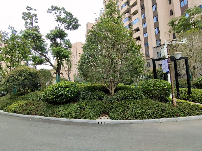 碧桂园德信时代悦城(北区)