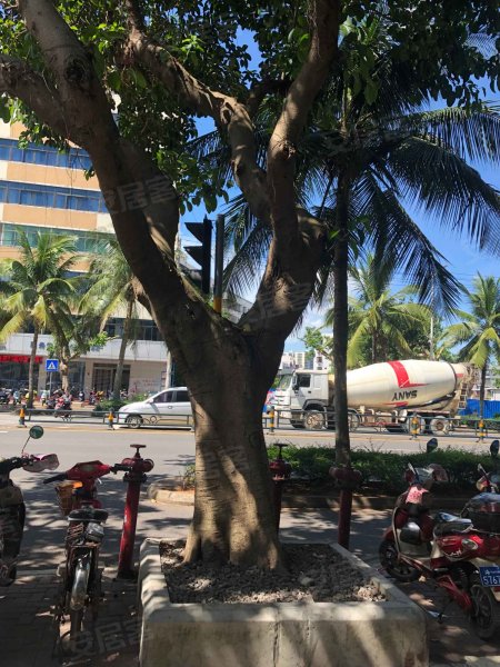 节能大厦,琼州大道6号-海口节能大厦二手房,租房,房价-海口安居客