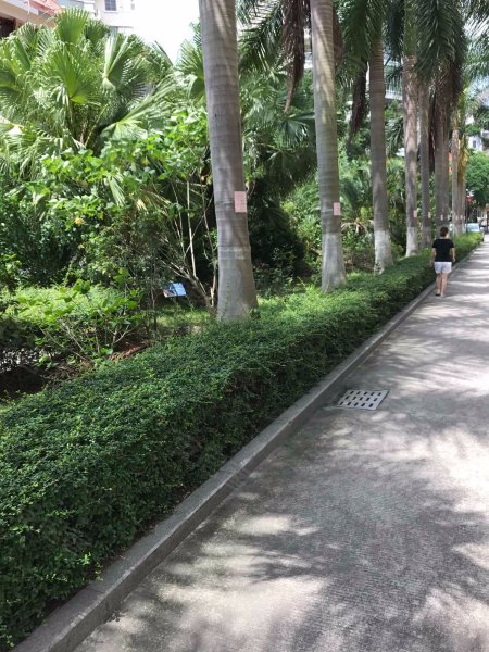 金峰山庄(公寓住宅),文屏二里59