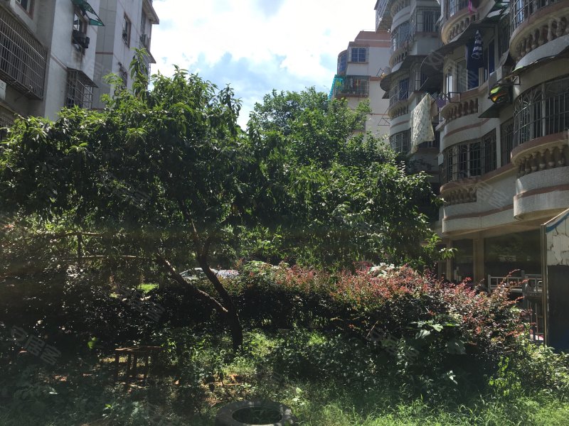 德政园润心苑,恒达路51号-长沙德政园润心苑二手房,租房,房价-长沙