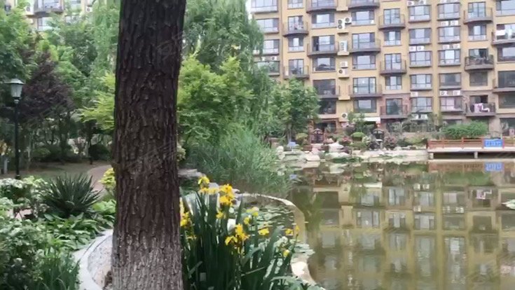 蓝钻庄园(平邑)