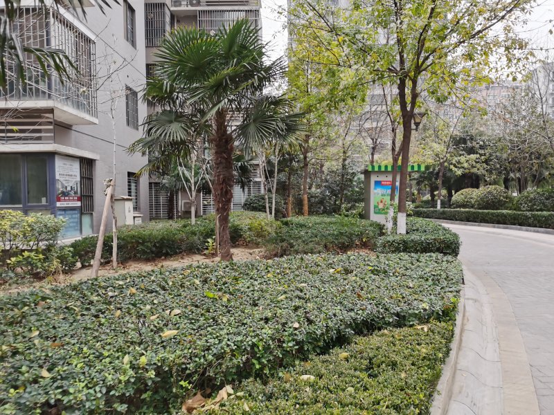 紫金城住宅,紫荆山路16号-郑州紫金城住宅二手房,租房,房价-郑州安居