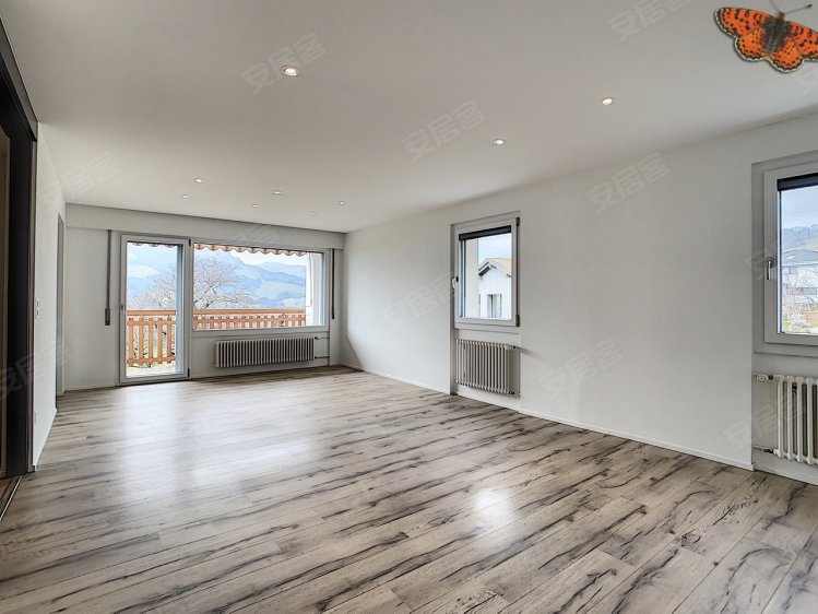 瑞士约¥306万美丽的公寓完全翻新在农业区的边缘二手房公寓图片