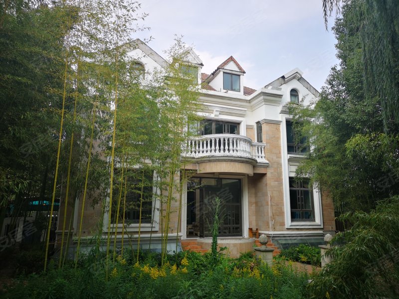 云顶别墅,泗陈公路388弄-上海云顶别墅二手房,租房,房价-上海安居客