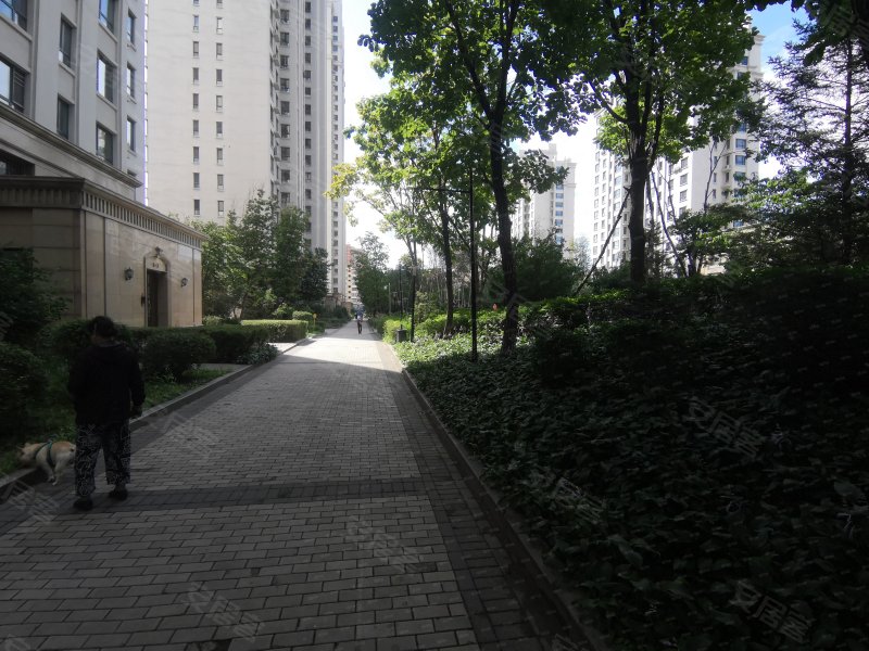 海富金棕榈,马端街108号-哈尔滨海富金棕榈二手房,租房,房价-哈尔滨