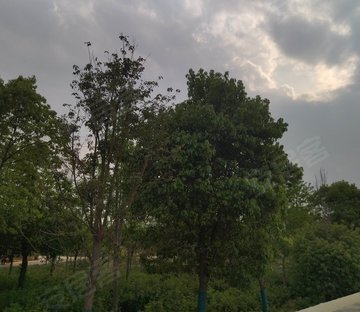 火瓦巷37号小区