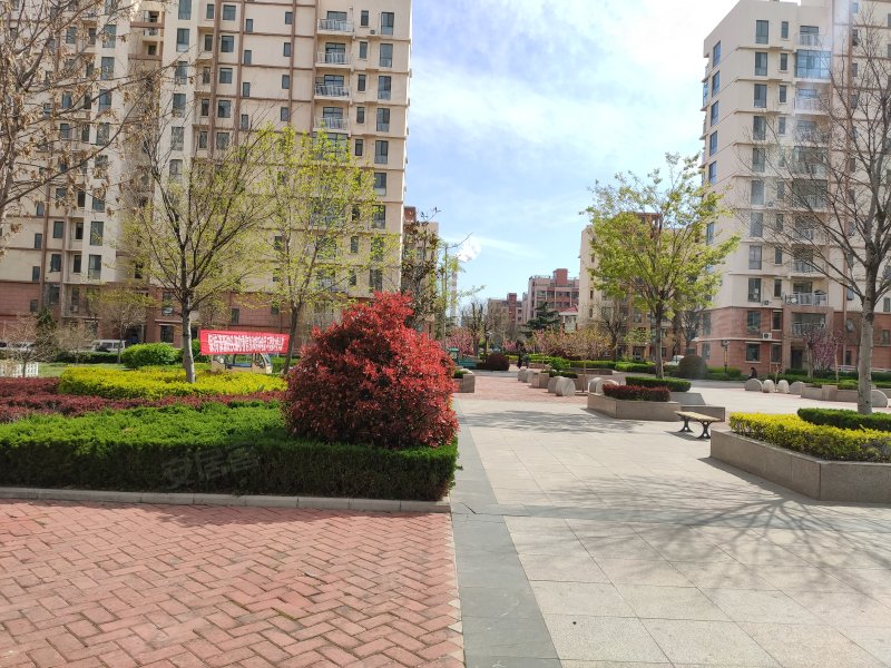 世纪花园(三期),南山中路-烟台世纪花园(三期)二手房,租房,房价-烟台