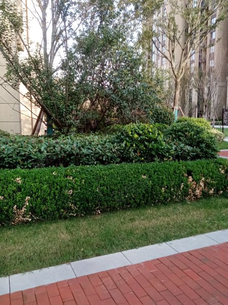 建业幸福里(睢阳),北海路-商丘建业幸福里(睢阳)二手房,租房,房价