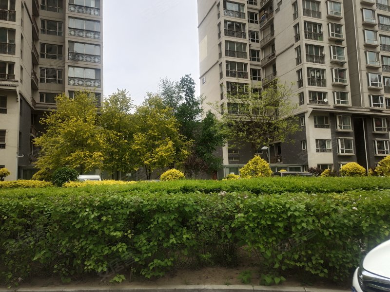 柳港园b区,向阳里街-大同柳港园b区二手房,租房,房价-大同安居客